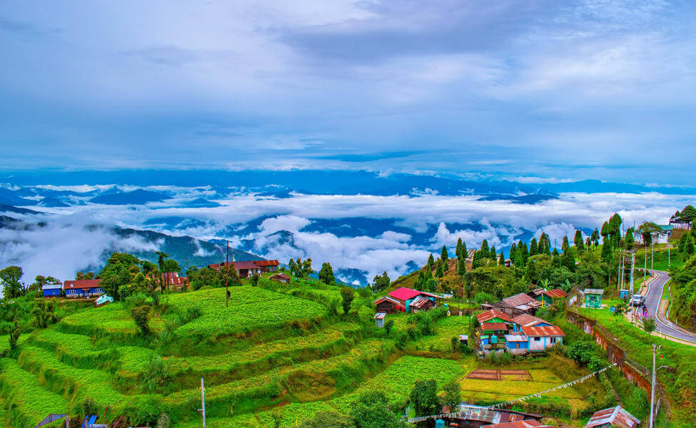 Blissful Hill Tour packages 